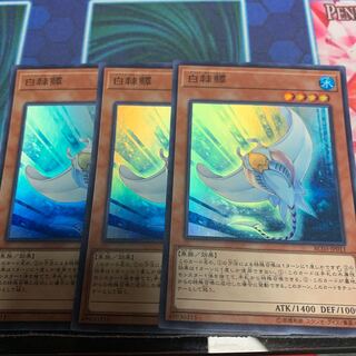 ホワイト・スティングレイ