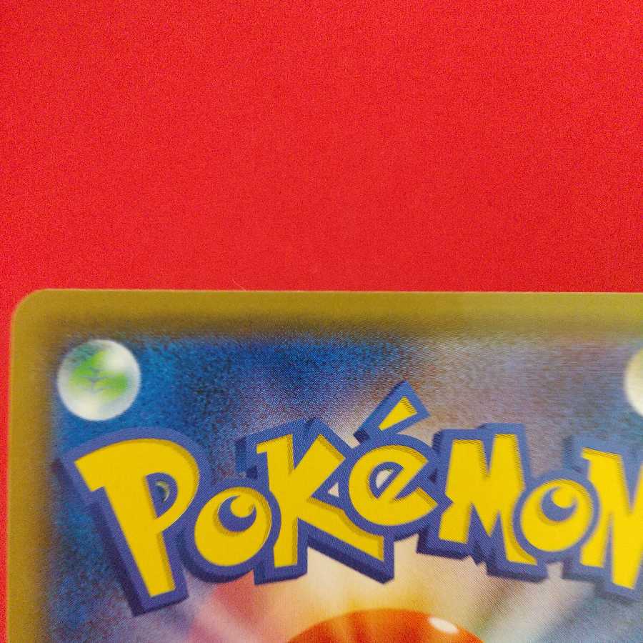 シロナ 4枚セット