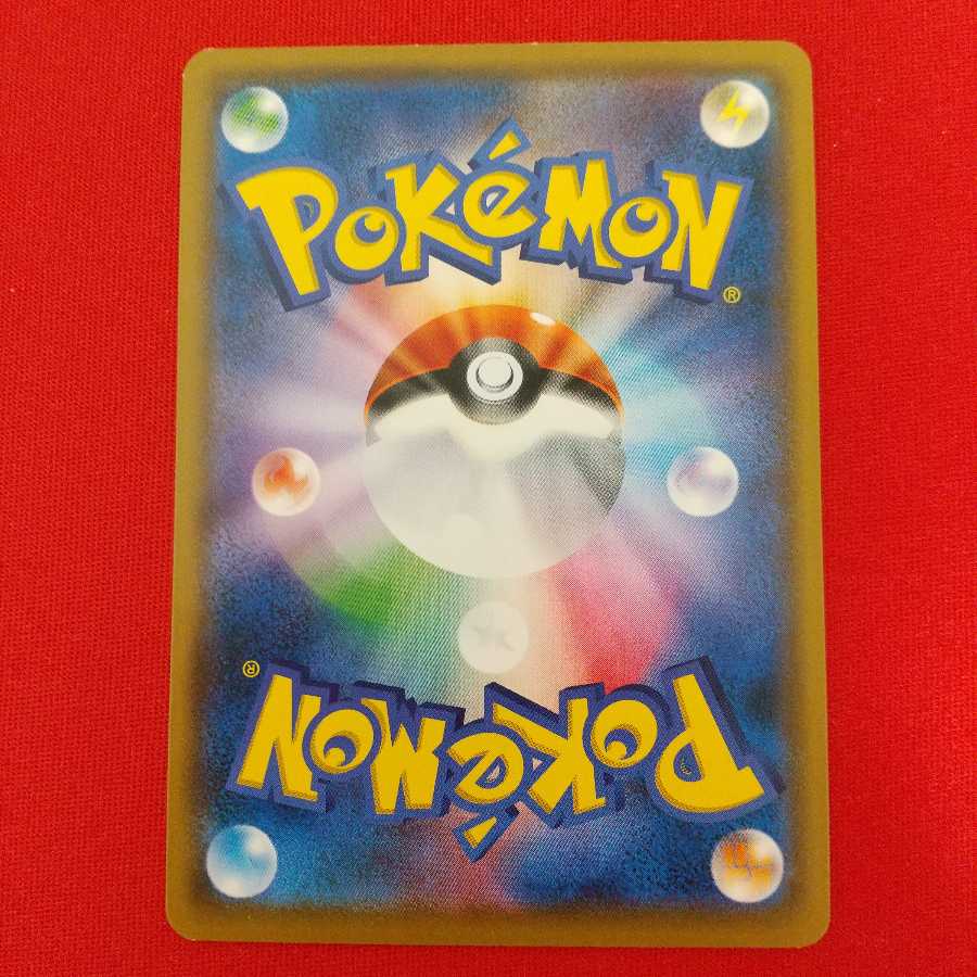 シロナ 4枚セット