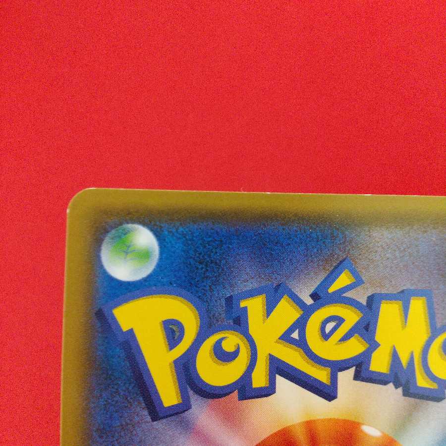 シロナ 4枚セット