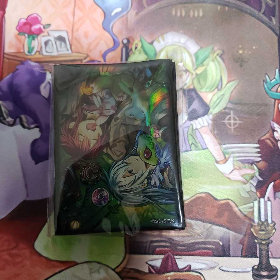 精霊術の使い手　スリーブ　エリア&ヒータ