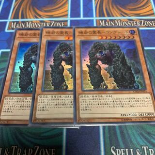 礫岩の霊長-コングレード