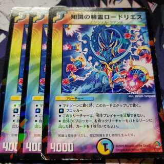 知識の精霊ロードリエス