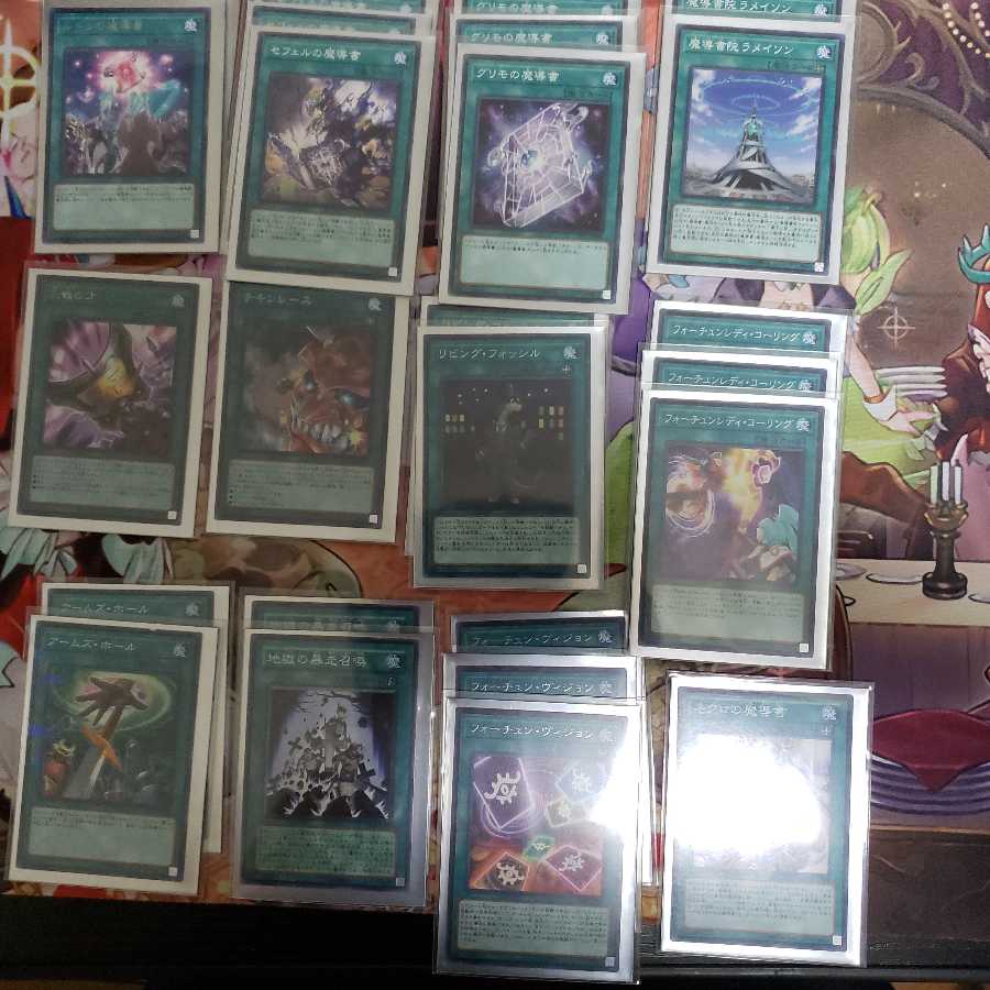 [りょう様専用]ｱｽﾗﾋﾟｽｸ搭載型フォーチュンレディデッキ 1枚