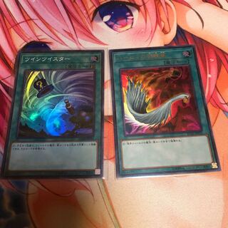 ハーピィの羽根帚 ツインツイスター