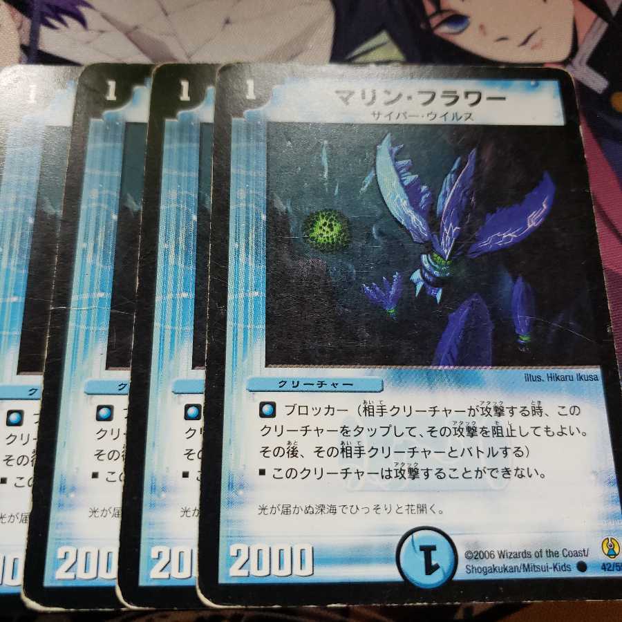 マリン・フラワー