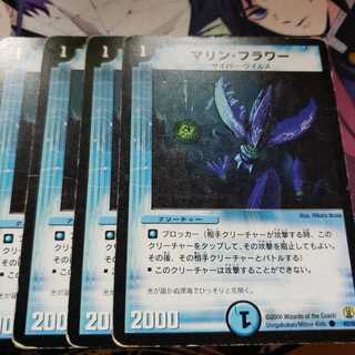 マリン・フラワー