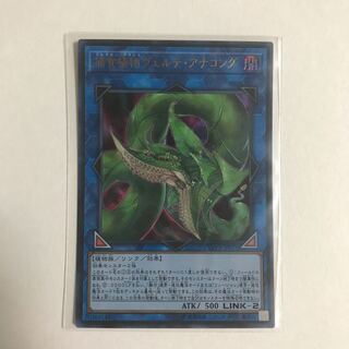 捕食植物ヴェルテ・アナコンダ ウルトラレア