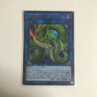 捕食植物ヴェルテ・アナコンダ ウルトラレア