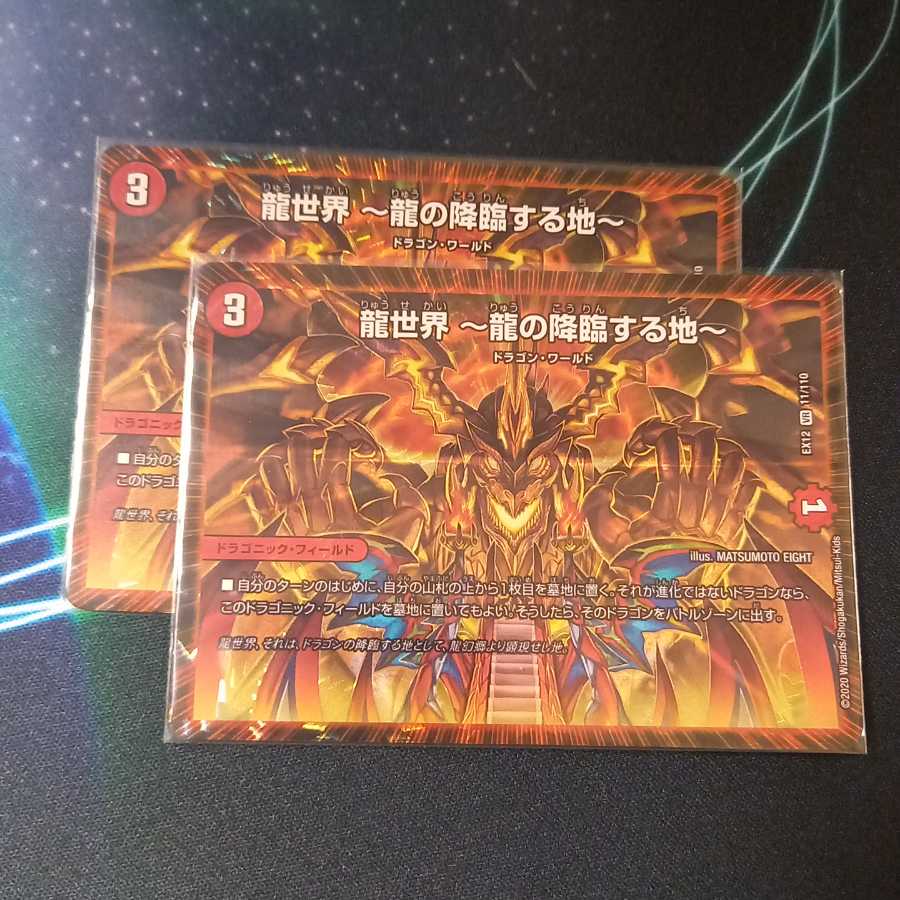 龍世界 -龍の降臨する地-