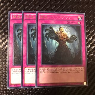 鏡像のスワンプマン レア