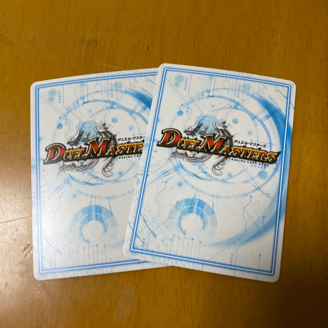 鋼ド級 ダテンクウェールB SR二枚セット