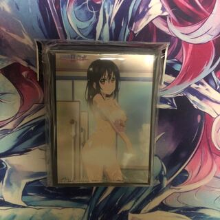 ストライク・ザ・ブラッド 姫柊雪菜 スリーブ