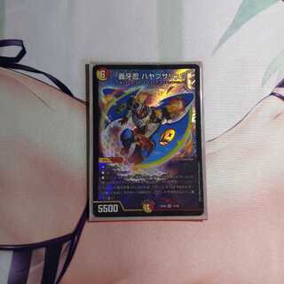 ハヤブサリュウ