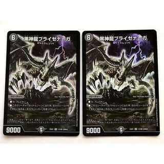 黒神龍ブライゼナーガ　2枚