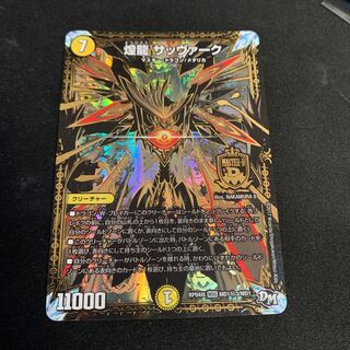 煌龍 サッヴァーク SE