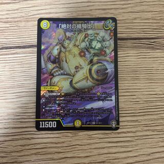 「絶対の楯騎士」