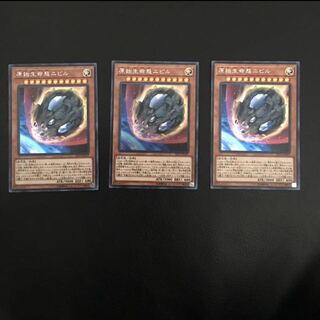 原始生命態ニビル シク 3枚