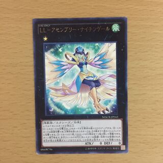 LL-アセンブリー・ナイチンゲール