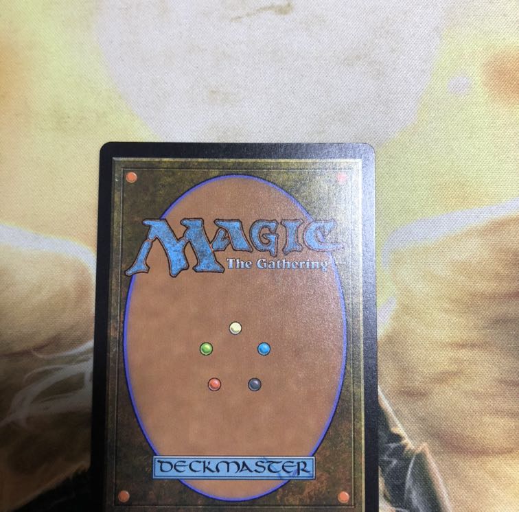 探索する獣　日本語1枚