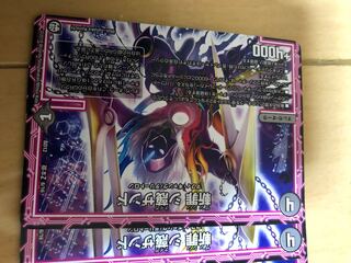 斬罪 シ蔑ザンド 2枚 シナイガザンド