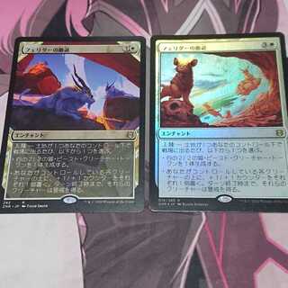 フェリダーの撤退 2枚