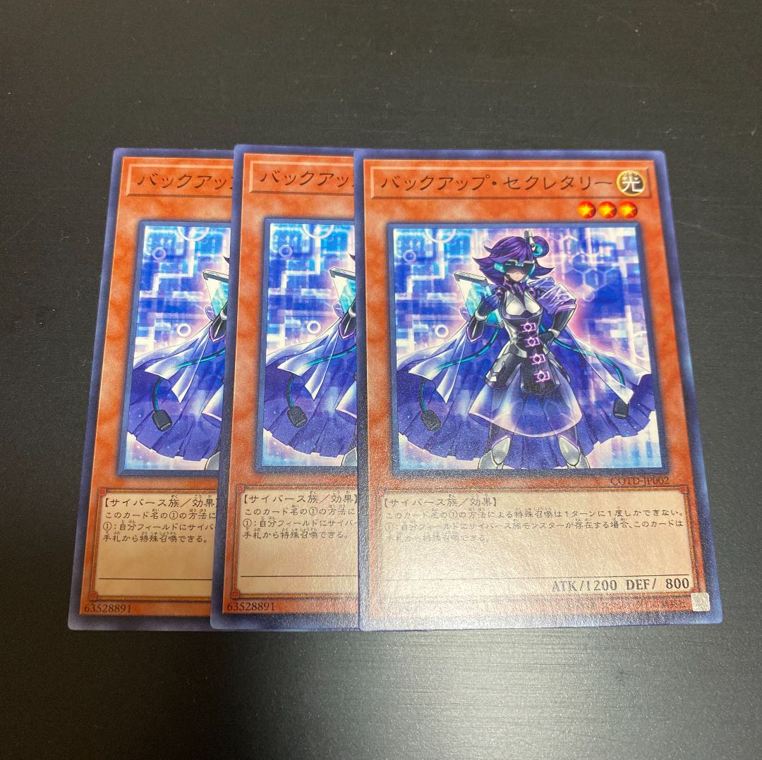バックアップ・セクレタリー ノーマル 3枚