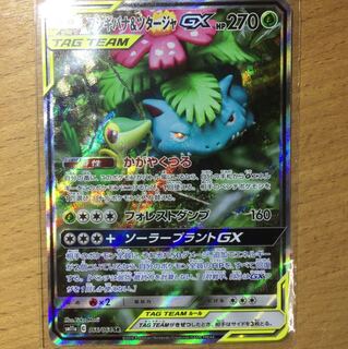 フシギバナ&ツタージャgx sr