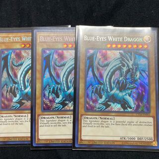 遊戯王 青眼の白龍 英語 シークレット 3枚セット