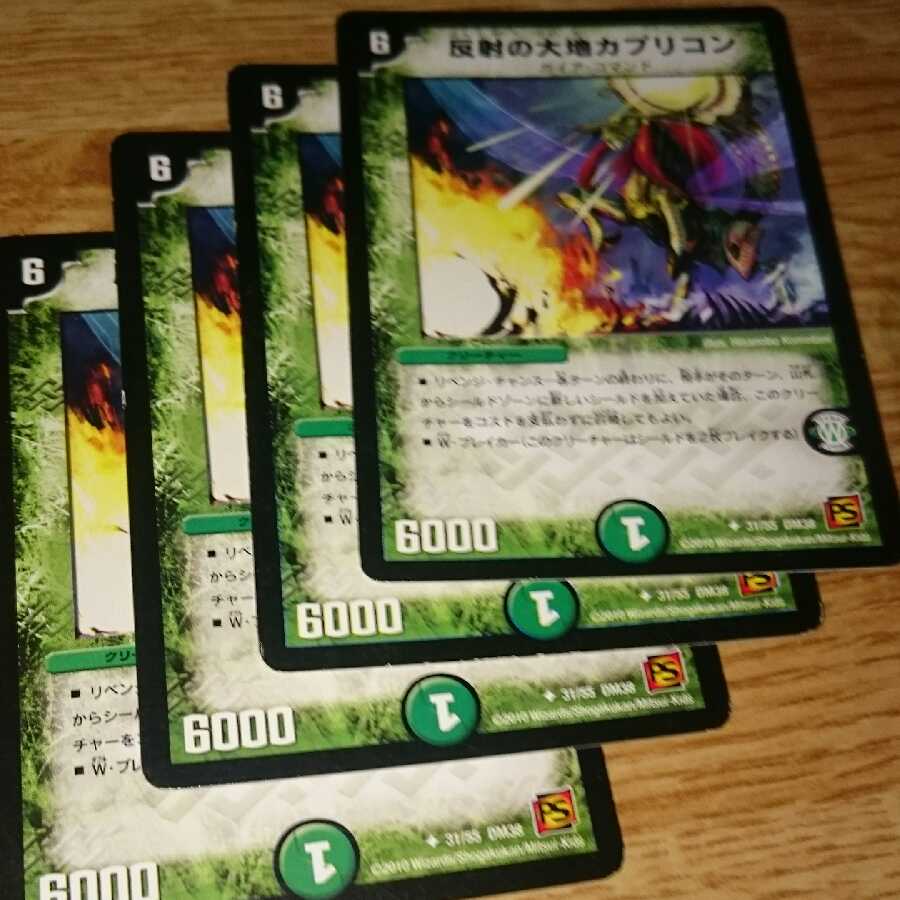 反射の大地カプリコン