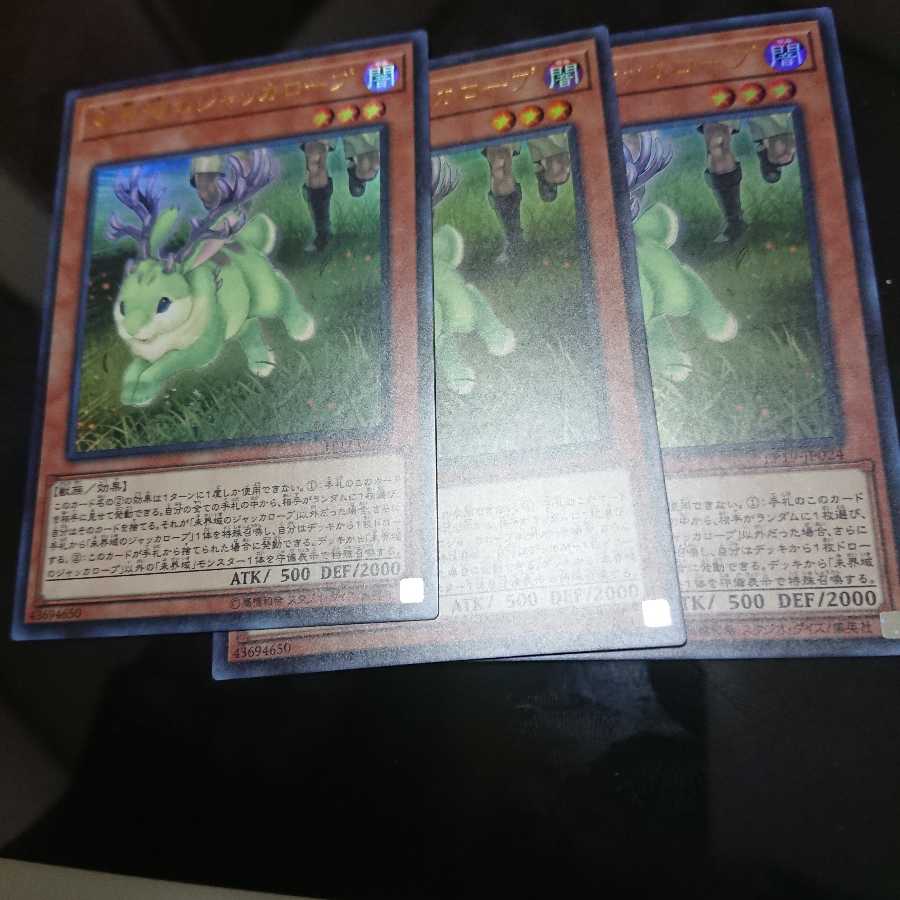 未界域のジャッカローブ