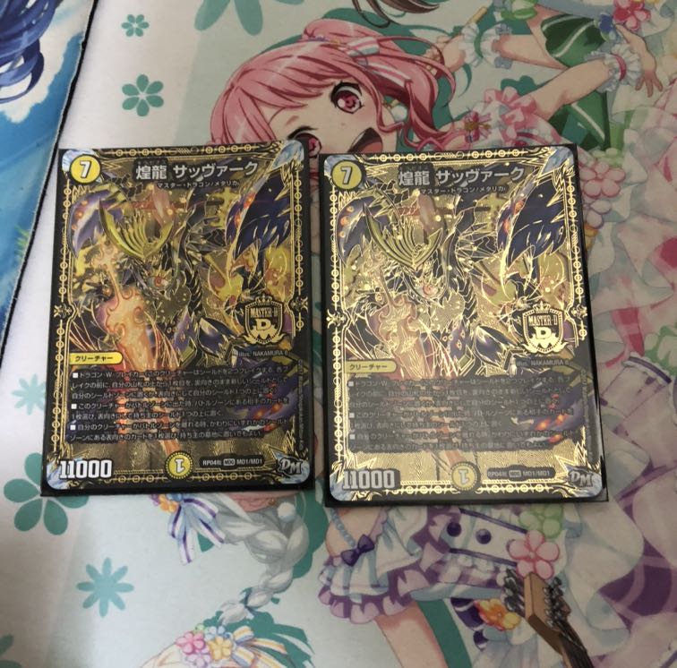 煌龍 サッヴァーク2枚セット