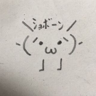 ハヤト様専用　2口