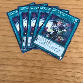 揺れる眼差し ノーマル　5枚セット