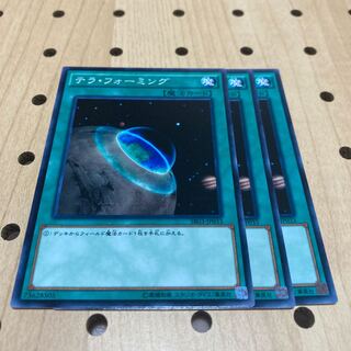 テラ・フォーミング ノーマル 3枚セット