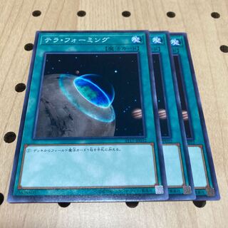 テラ・フォーミング ノーマル 3枚セット