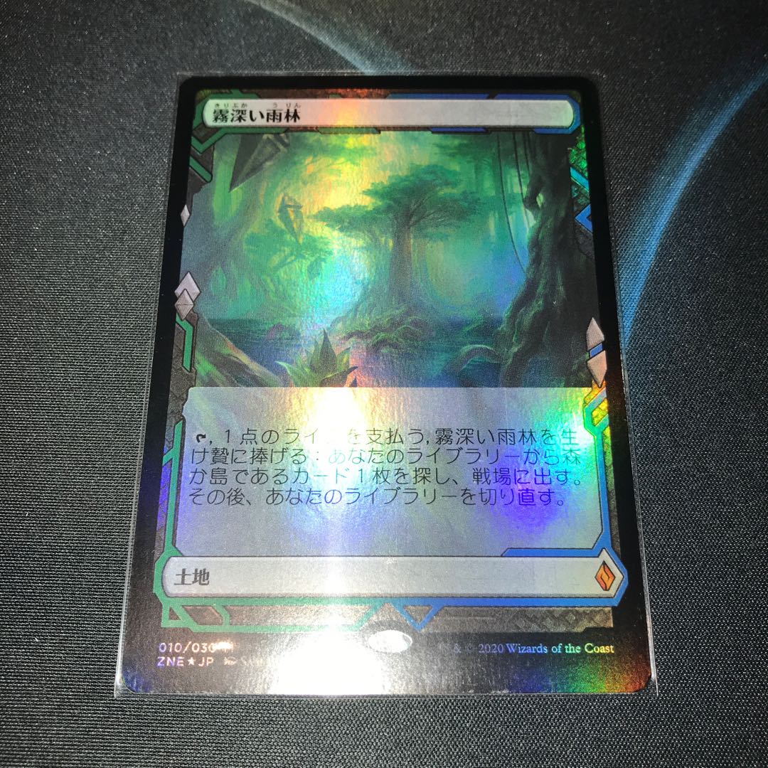 霧深い雨林 foil