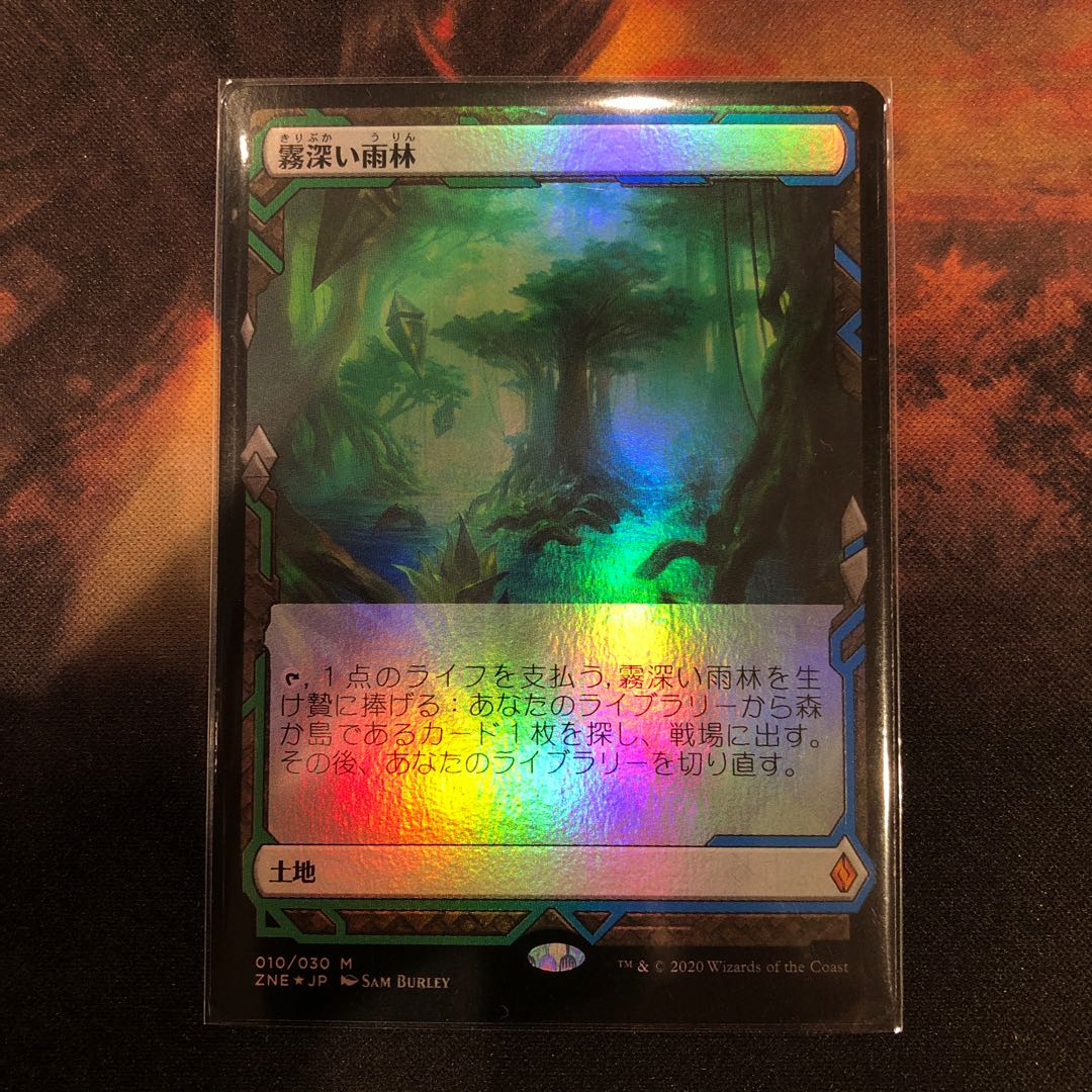judasryo58様専用 foil 霧深い雨林 エクスペディション
