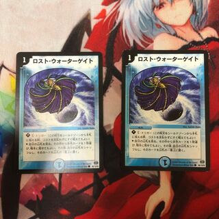 ロスト・ウォーターゲイト　二枚