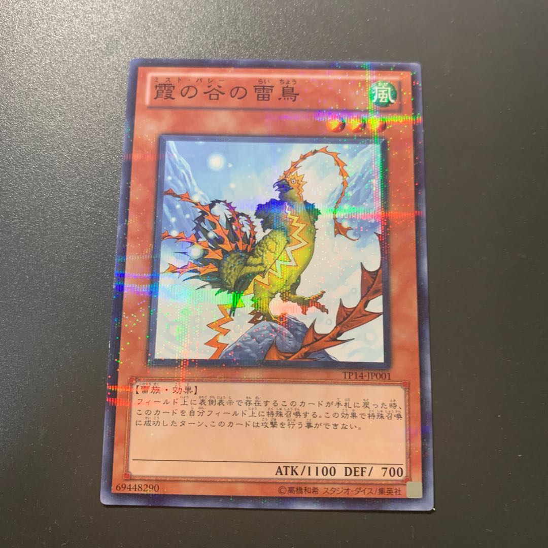 霞の谷の雷鳥 パラレル ノーマル