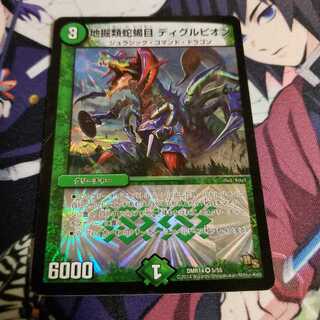 地掘類蛇蝎目 ディグルピオン