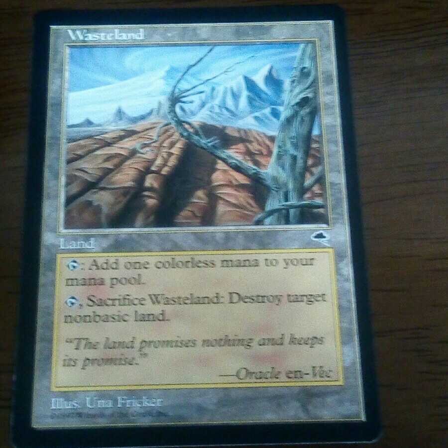 不毛の大地　状態良好！　最安値