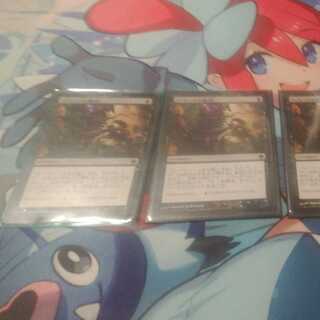 コジレックの審問　4枚セット