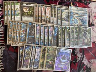 アナカラーシャコガイル