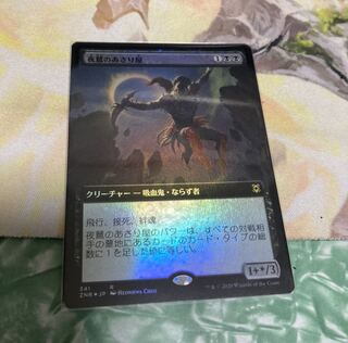 夜鷲のあさり屋　拡張　foil