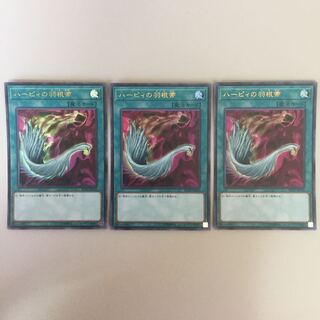 ハーピィの羽根帚 ウルトラ 2