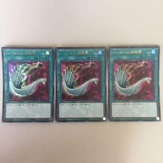 ハーピィの羽根帚 ウルトラ 3