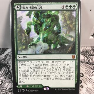 変わり樹の共生 1枚