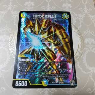 「雷光の聖騎士」