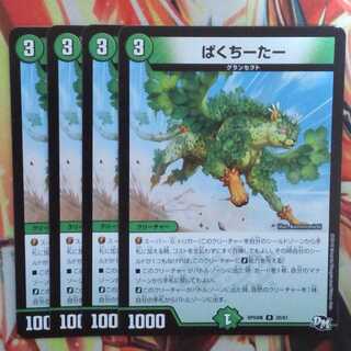 ぱくちーたー 四枚セット